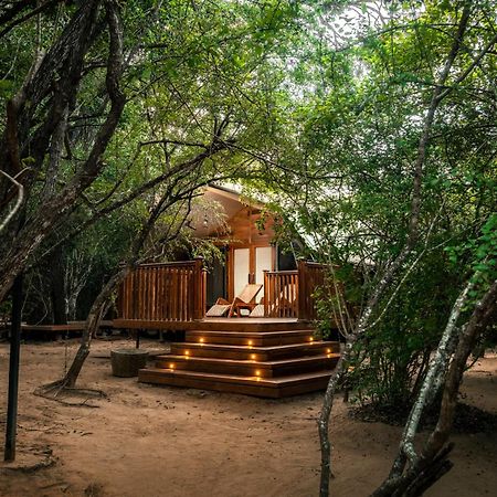 Hotel King Reach Yala Wild Tissamaharama Exterior foto