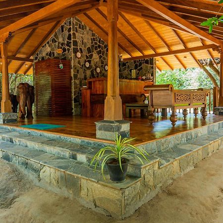 Hotel King Reach Yala Wild Tissamaharama Exterior foto