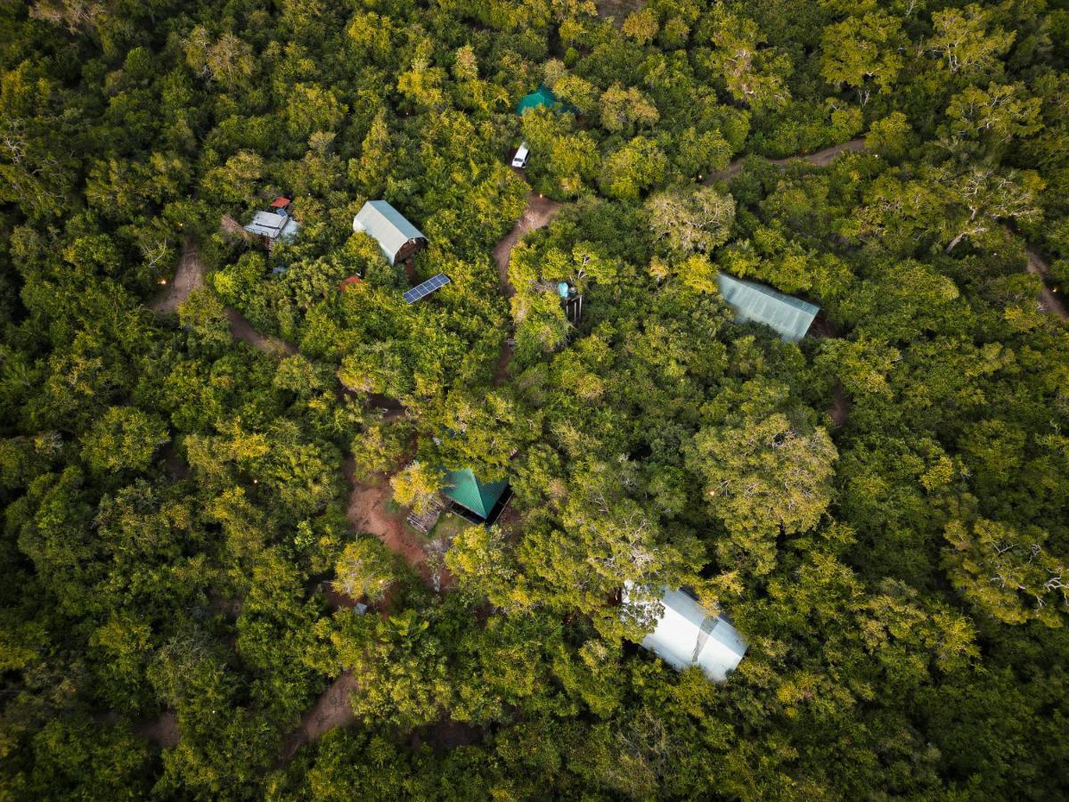 Hotel King Reach Yala Wild Tissamaharama Exterior foto