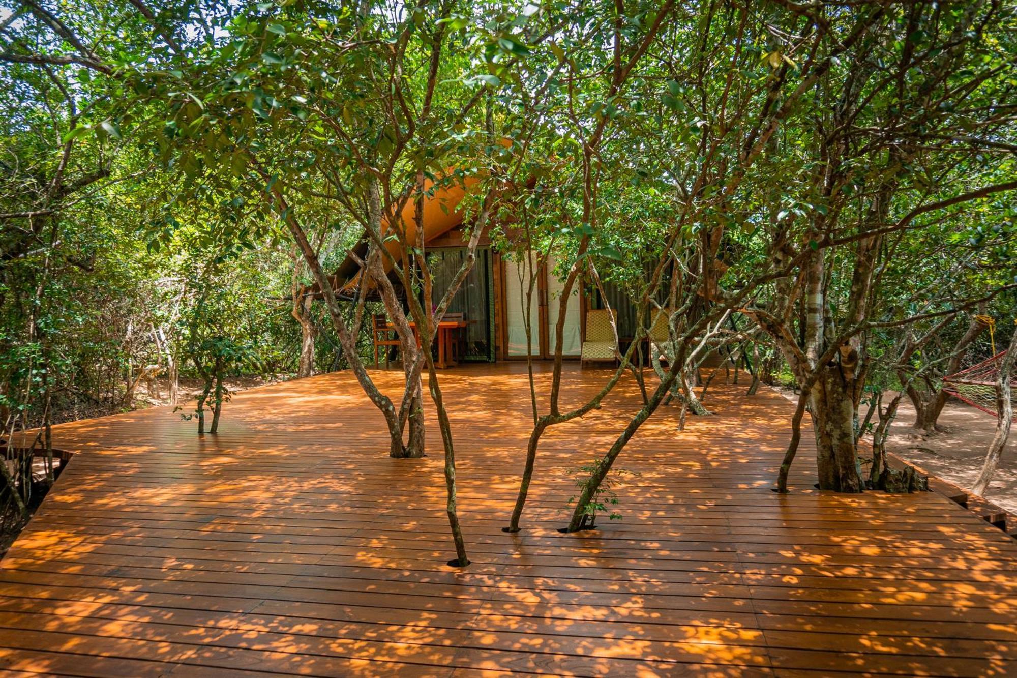 Hotel King Reach Yala Wild Tissamaharama Exterior foto